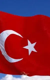 کار تمیز کاری ترکیه لازم دارم