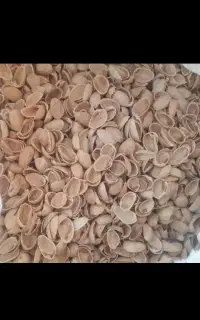 خریدو فروش پوست پسته