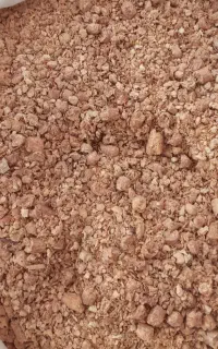 دان مرغ و انواع پرندگان