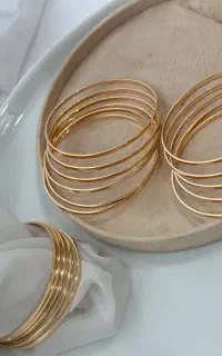 اکسسوری وبدلیجات
