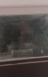 اکواریوم
