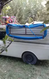 خدمات سم پاشی باغ باغچه حیاط رضا