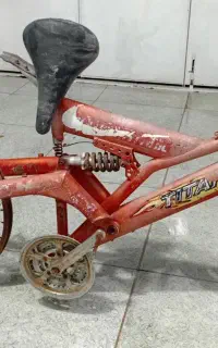 تنه دوچرخه