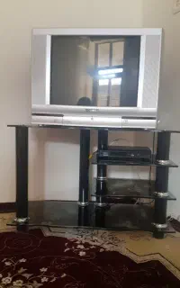 تلویزیون