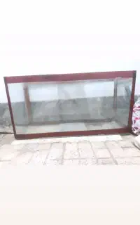 آکواریوم ماهی نو