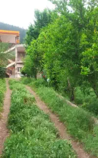 اجاره روزانه