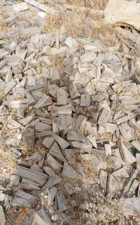 برید درخت چوب