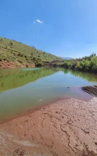 مسافرت