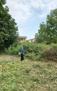 دستگاه علف زنی