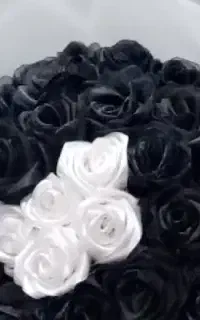 گل رز رومانی ۴۰ شاخه یه میلیون