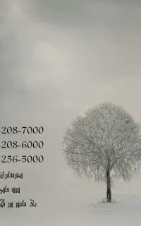 0991-208-6000