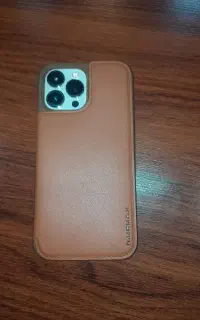 اپل ۱۳پرومگس