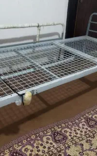 تخت بیمارستانی