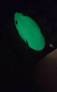 طعمه ماهیگیری قورباقه و لور