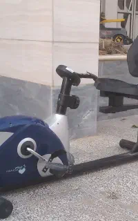 دوچرخه ثابت دولفین مبلی