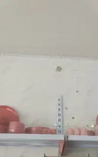 سرویس 30پارچه