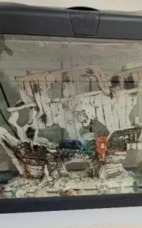آکواریوم