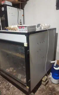 جوجه کشی شراکتی