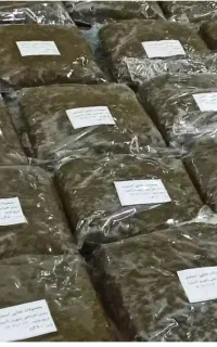 ماهی و آشی خوزستان رامهرمز رب انار