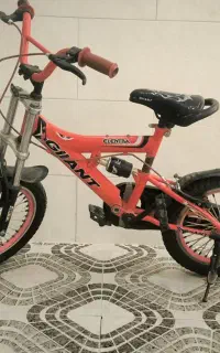 دوچرخه