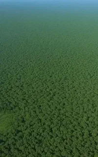 کوهنوردی و کوهپیمایی