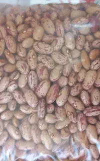 لوبیا چیتی