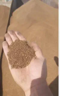 کنجاله زیتون برای خوراک دام طیور