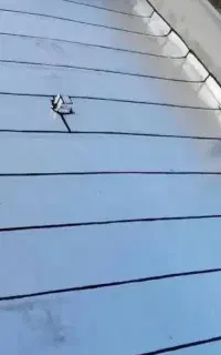 نصب ایزوگام واسفالت وقیرگونی
