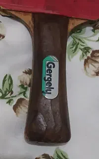 چوب پینگ پنگ باترفلای گرگلی