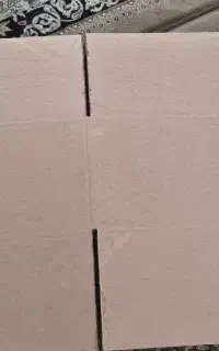 کارتن