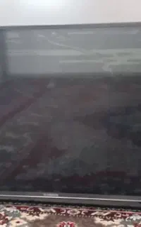 تلویزیون
