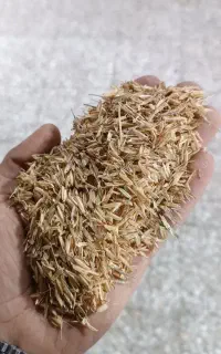 پوست اول برنج فل