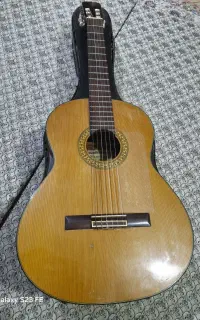 گیتار ژاپتی