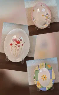 حراج دیس بیضی آرکوپال فرانسه