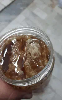 عسل طبیعی صدرصد ارگانیک از تنه درختان مازندران