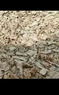 نون خشک