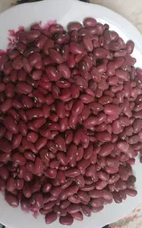 لوبیا قرمز