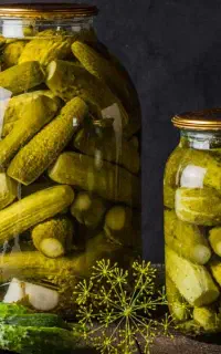 خیارشور خونگی