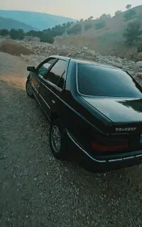 پارسelxفابریک
