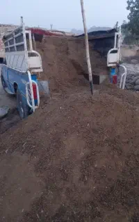کود