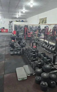 جارو کش با آینه و  با کل دستگاهای همراه صفحه