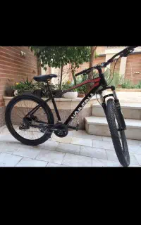 دوچرخه حرفه‌ای