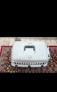 لوازم گربه