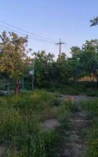 فروش باغ در اهر(دیزج)
