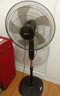 پنکه ایستاده