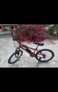 دوچرخه 24