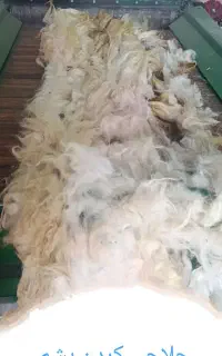 کارگاه تولیدی (گلبهار)