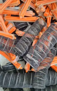 بیگودی