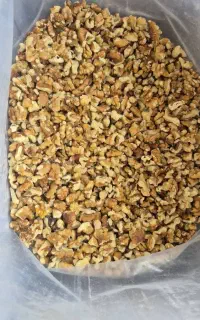 فروش عمده خرده گردو