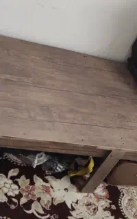 تخت